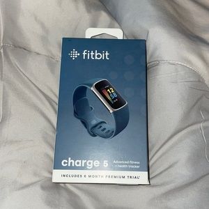 Steel Blue Fitbit Charge 5 Smart Watch